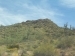 Saguaros on hill