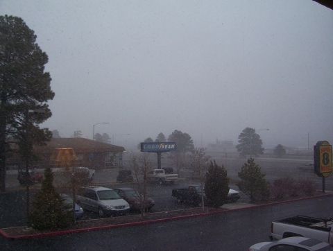 Snow in Flagstaff 100_0494.jpg 