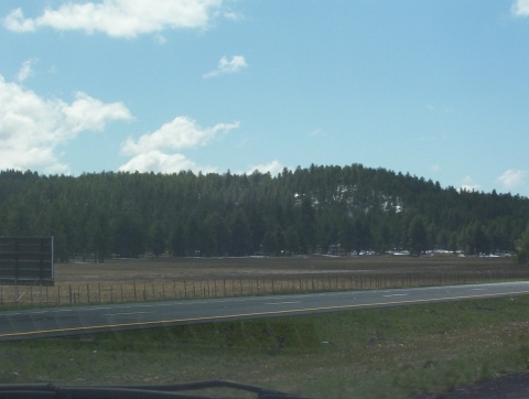 Snow on mountains just out of Flagstaff 000_0094.jpg 