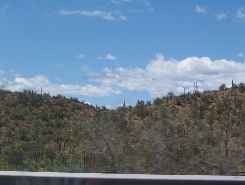 Saugaro's in Central Arizona 000_0111.jpg 