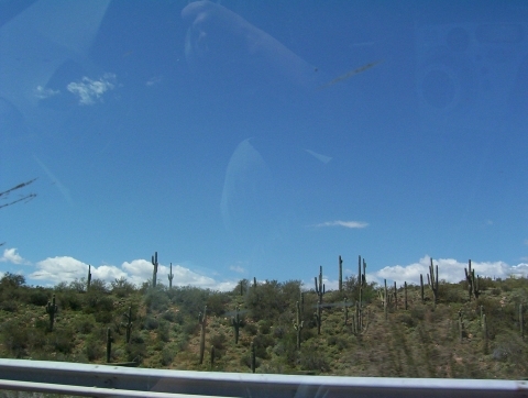 Saugaro's in Central Arizona 000_0116.jpg 
