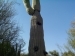 Tall Saguaro