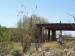 Cacti @ Sonoran Desert Musuem